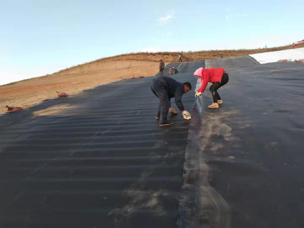 选择鱼塘茄子视频官方网站膜时需要考虑多种因素