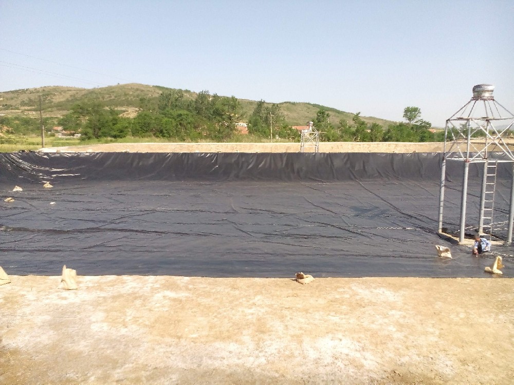 茄子视频懂你更多在线观看是干什么用的